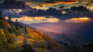 Autumn in the Smokies