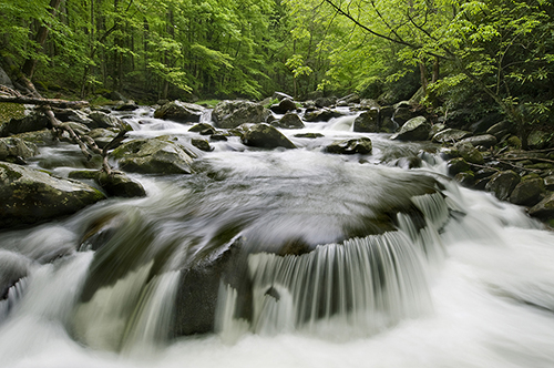 Smoky Mountain Stream_sm