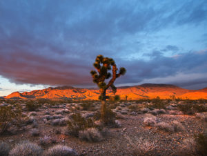 Recreation Lands in Nevada