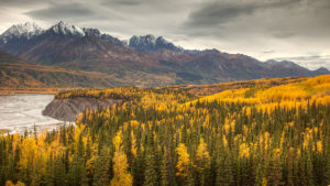 Mountain Wilderness in Autumn