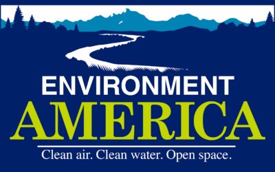 Why Environmentalism Is Conservative