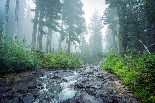 Protect People and Wildlife in the USA