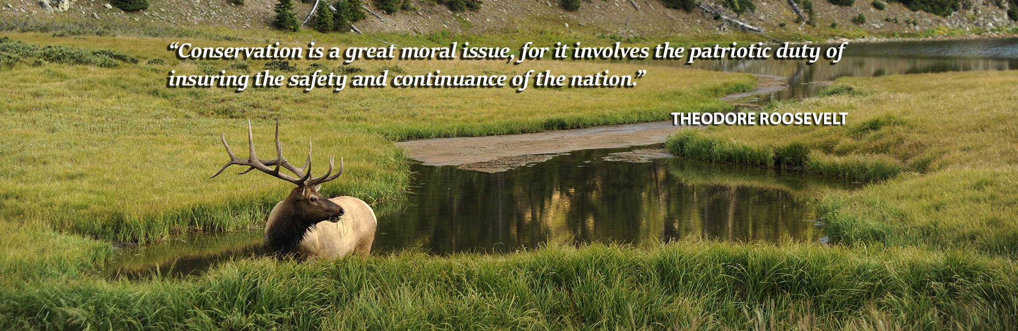 Divi-Colorado-Elk-Slider